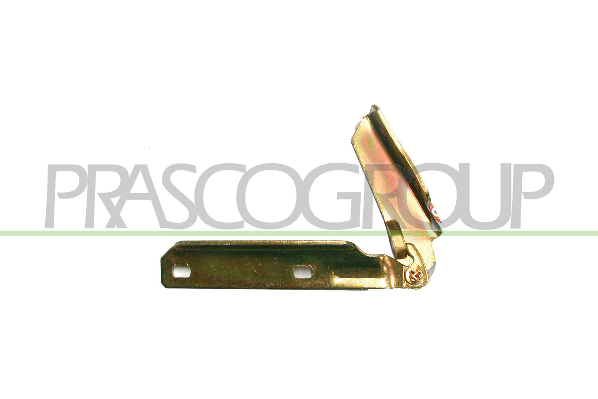 PRASCO FT1293704 Cerniera,...