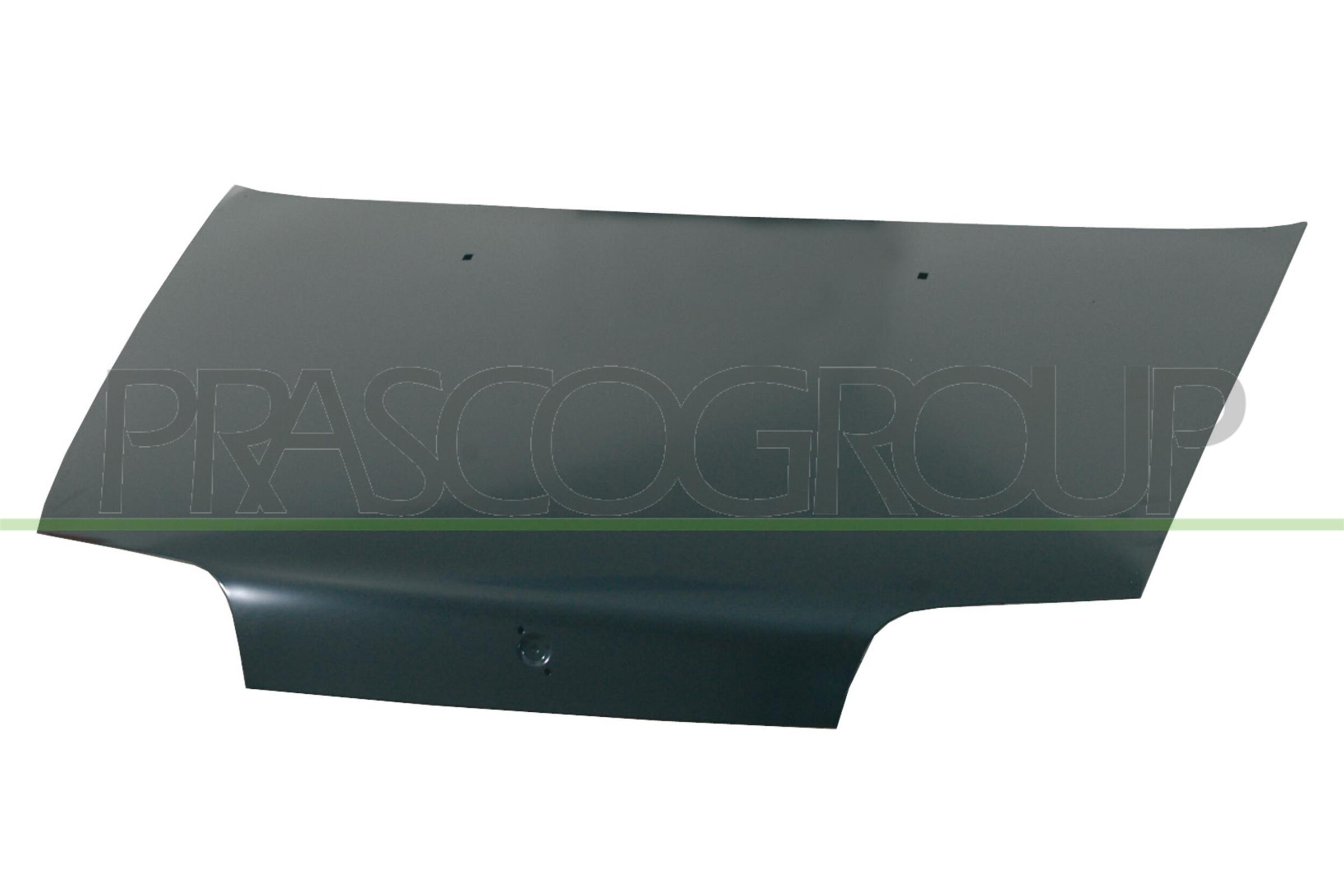 PRASCO FT1323100 Cofano motore