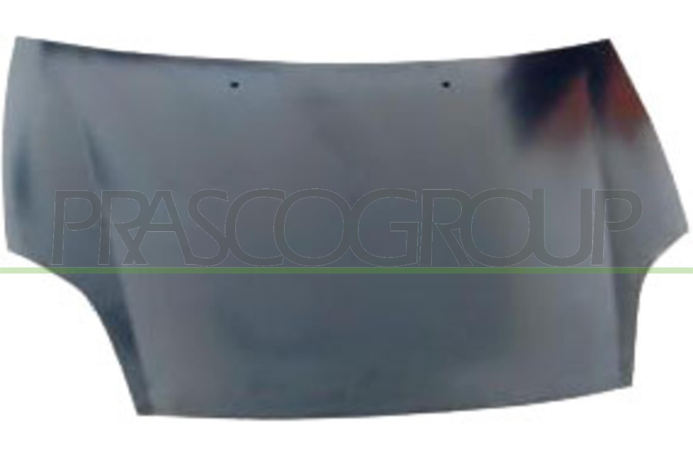 PRASCO FT1383100 Cofano motore