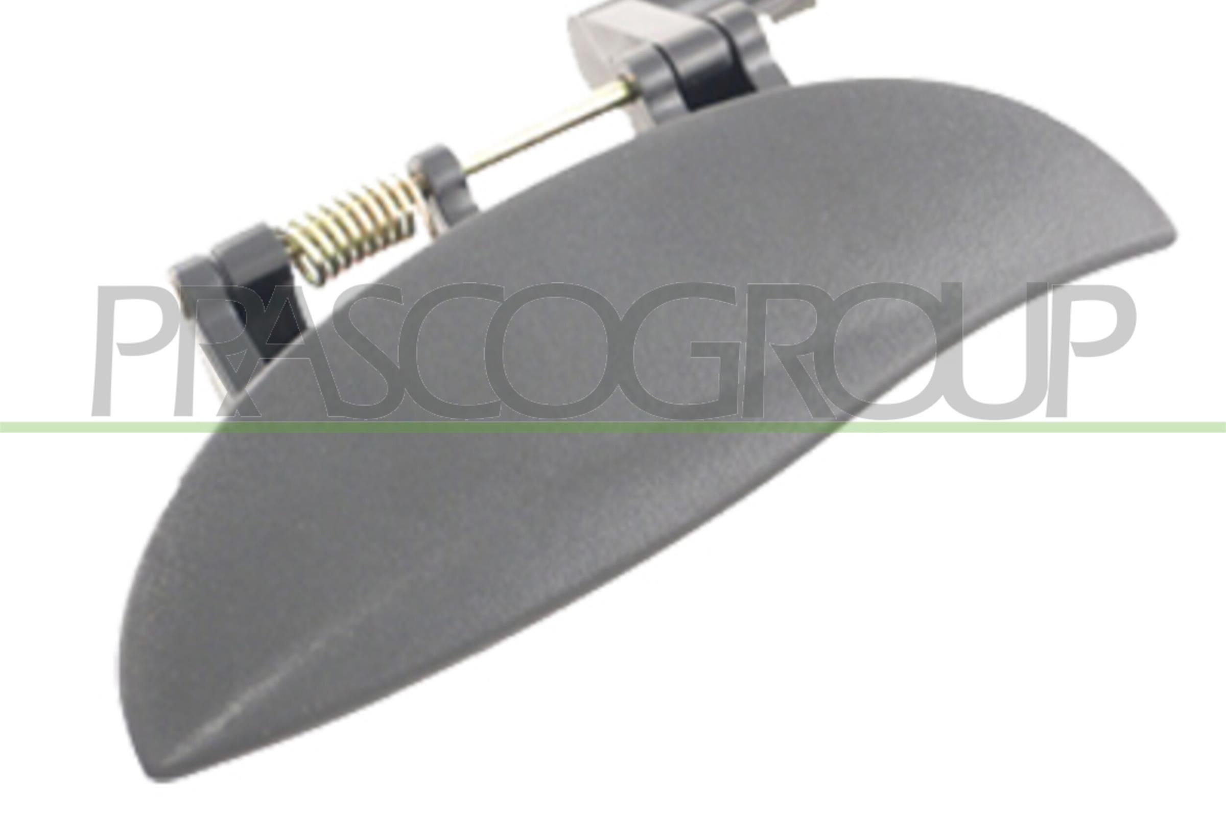 PRASCO HN3208002 Maniglia...