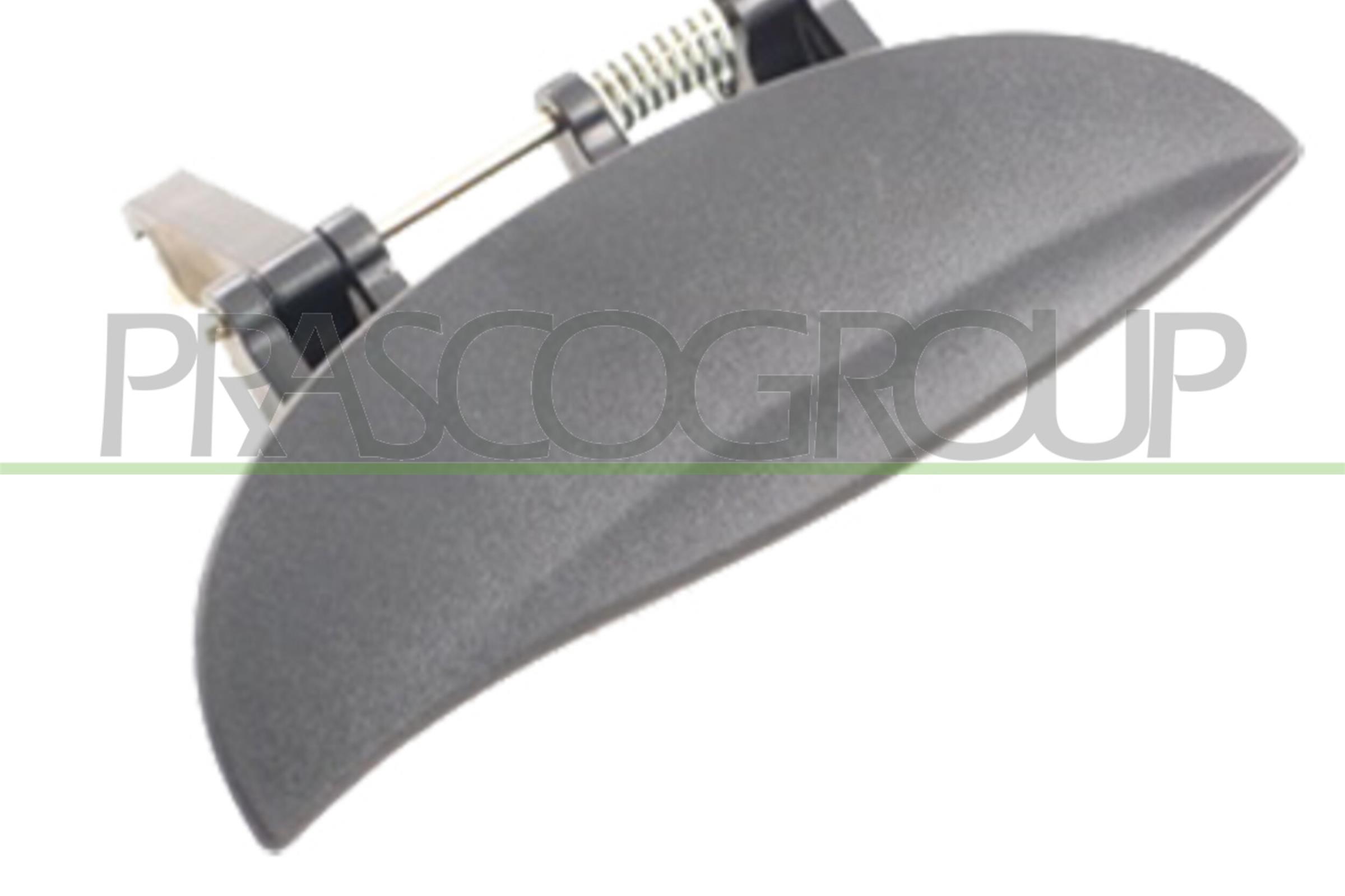 PRASCO HN3208101 Maniglia...