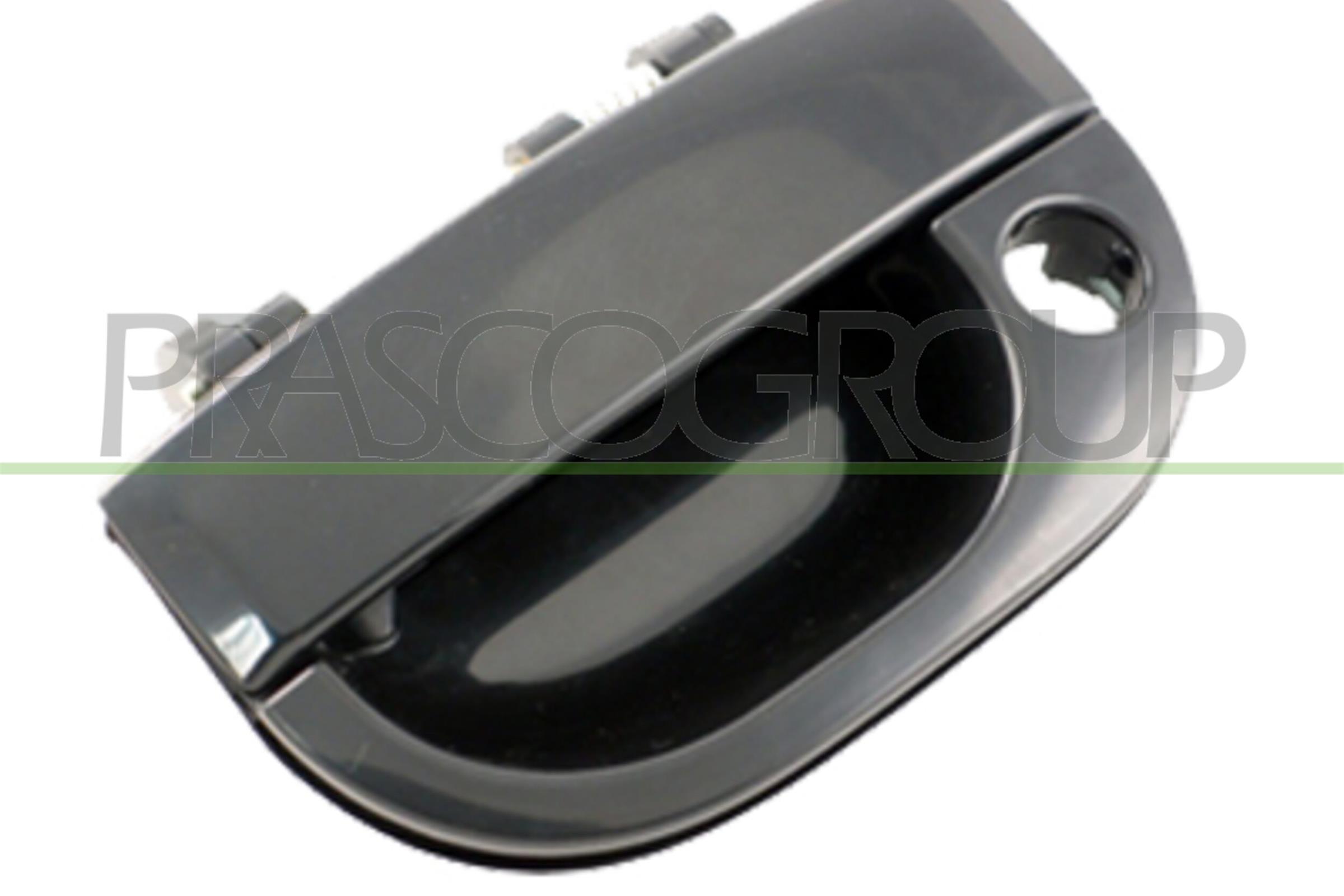 PRASCO HN9228102 Maniglia...
