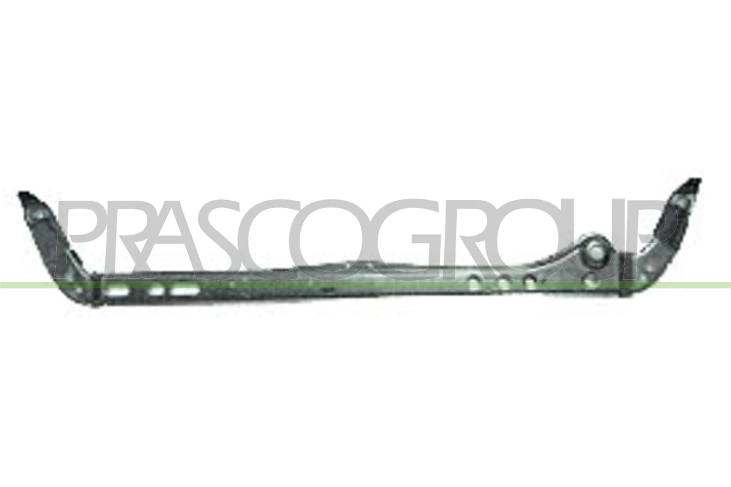 PRASCO LA0013218 Supporto,...