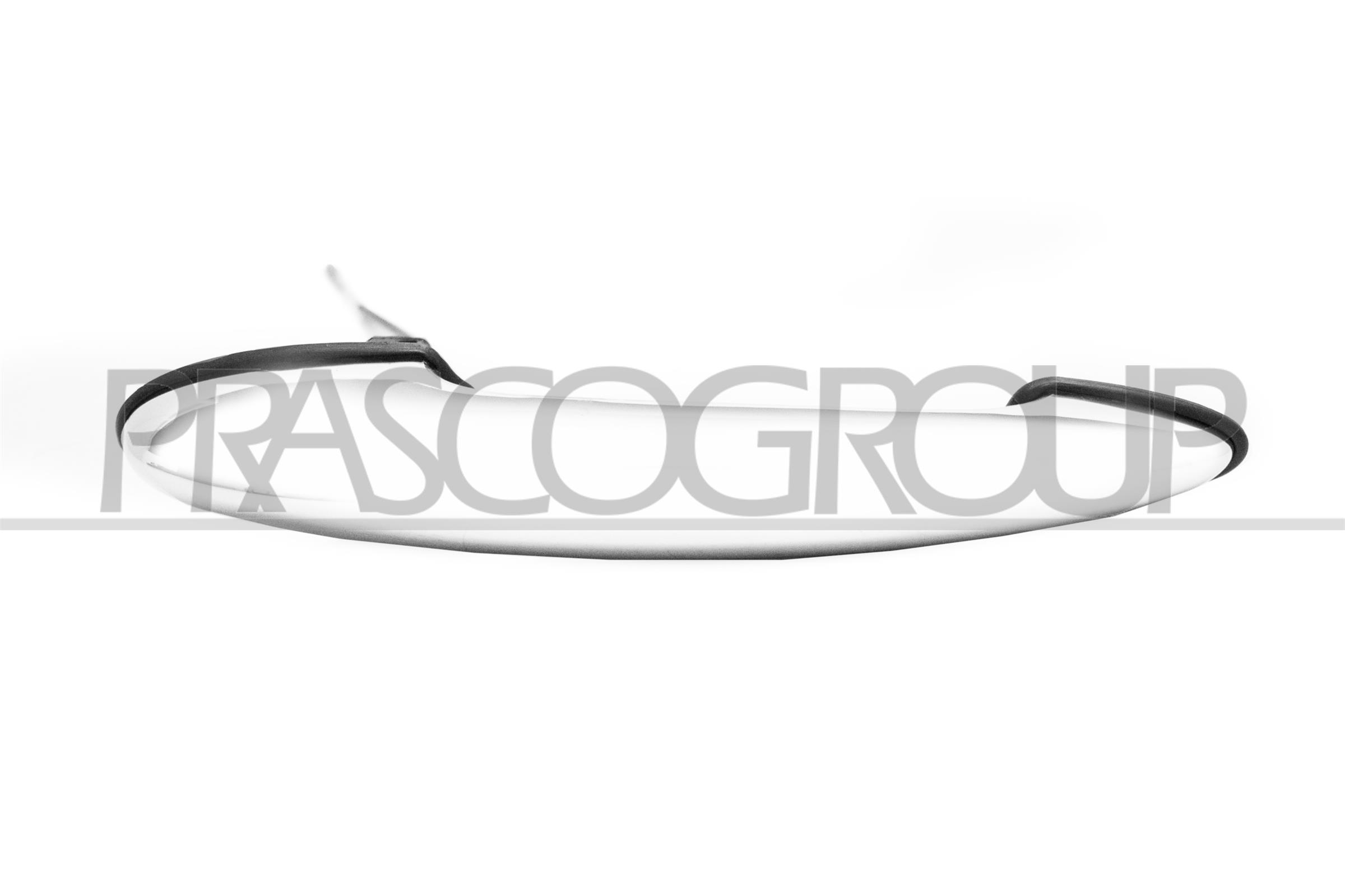 PRASCO MN3048005 Maniglia...