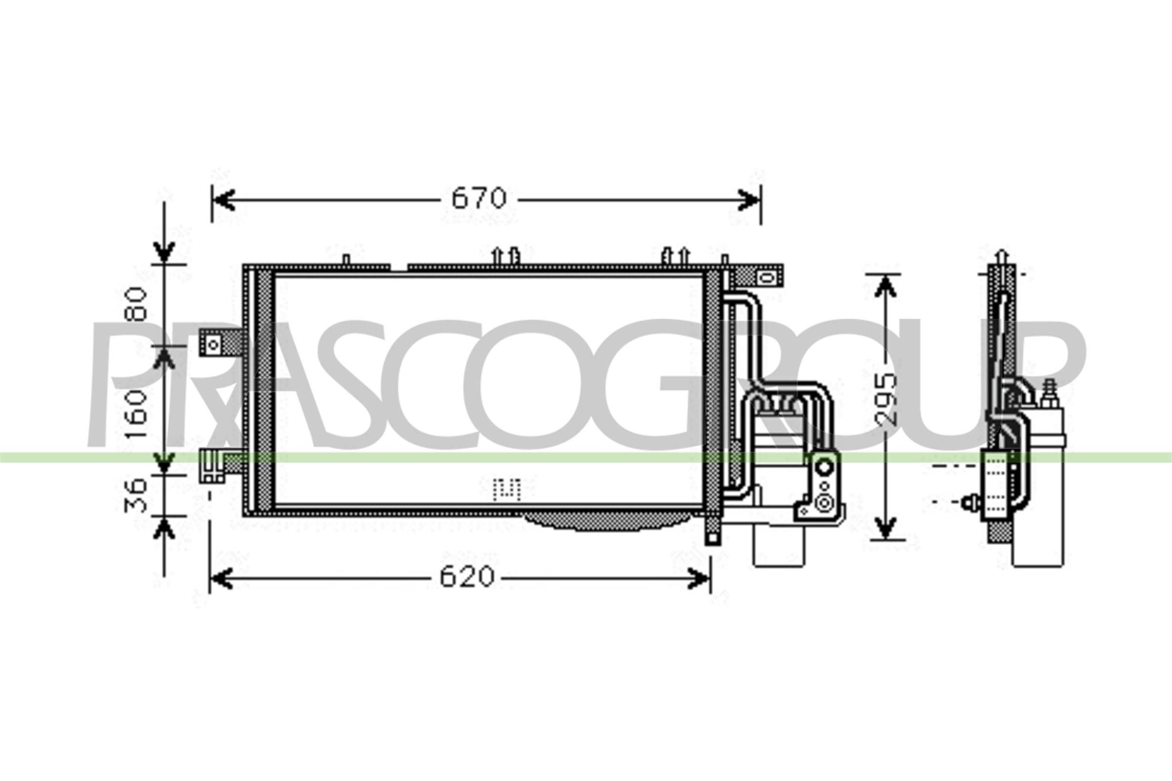 PRASCO OP031C005...