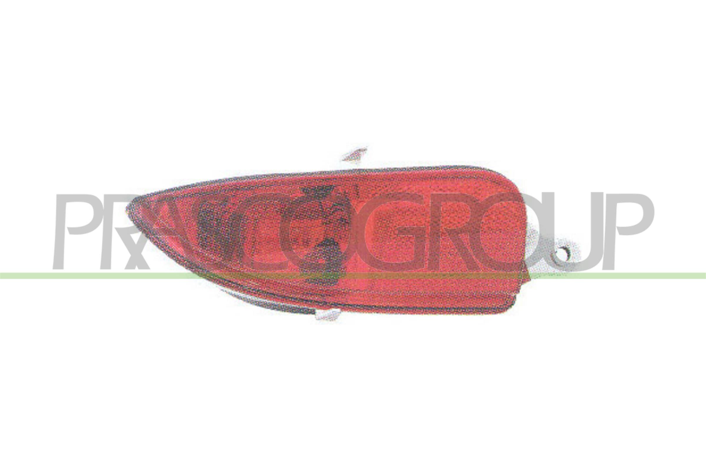 PRASCO OP0324453 Retronebbia