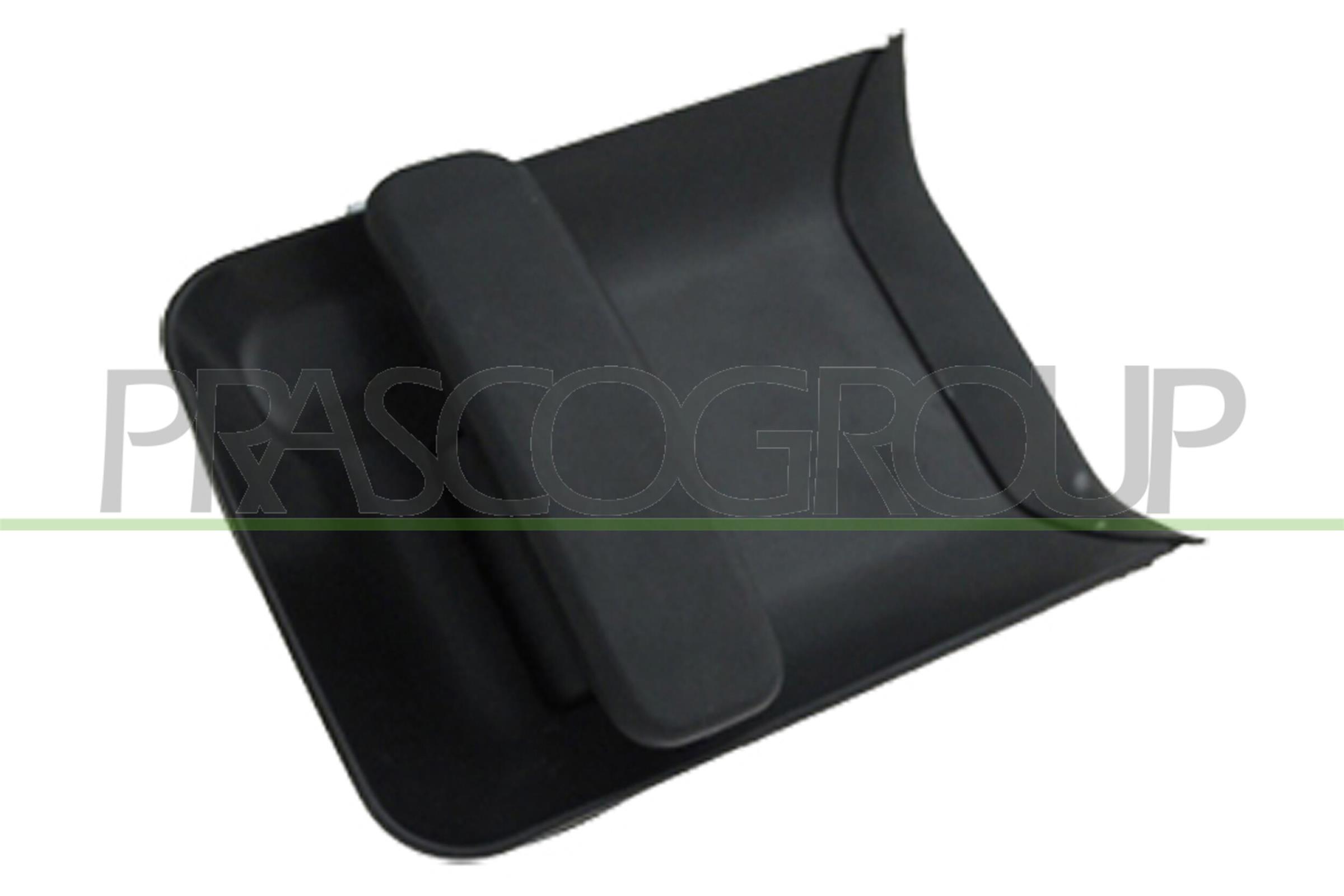 PRASCO PG9048102 Maniglia...