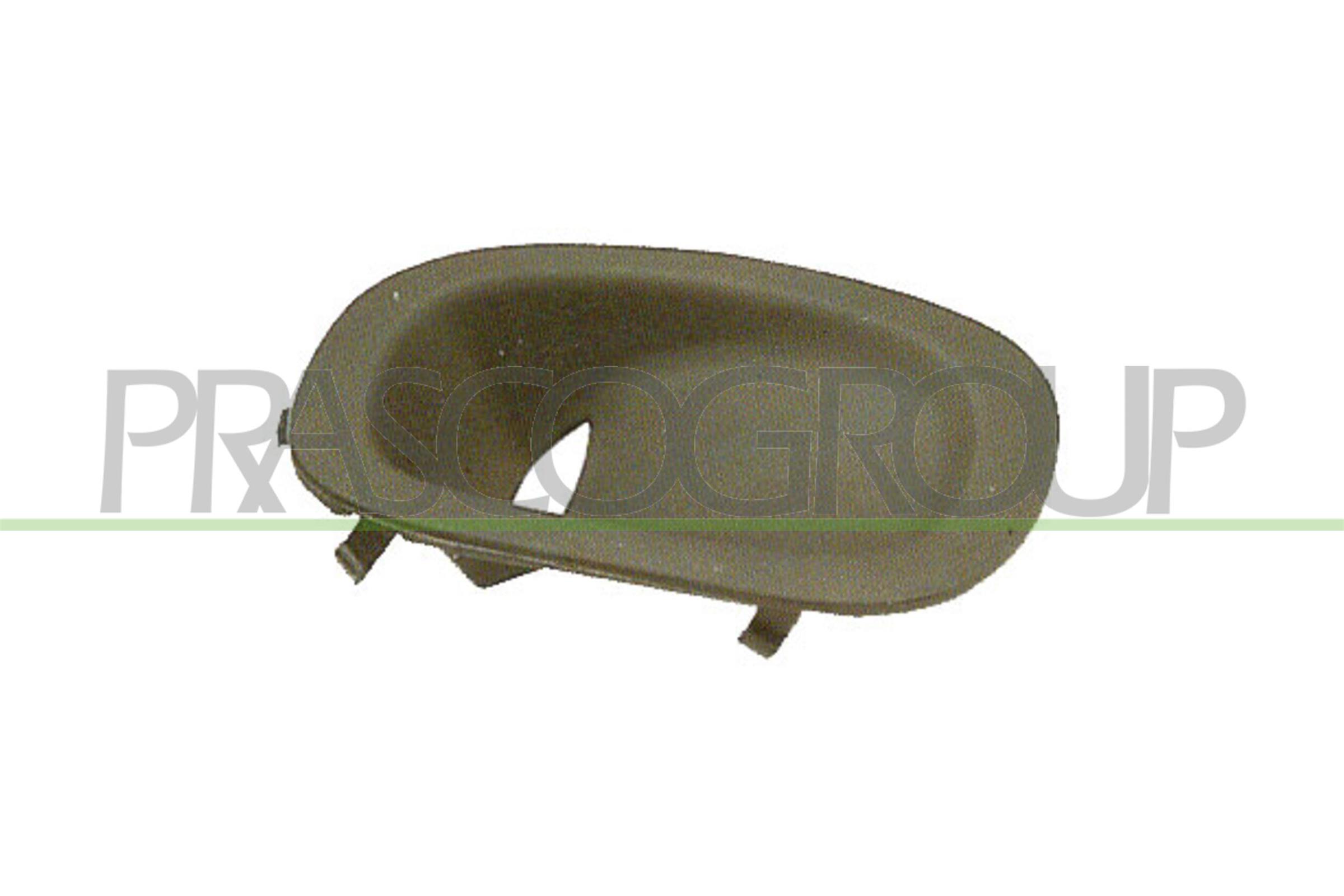 PRASCO RG3401248 Copertura,...