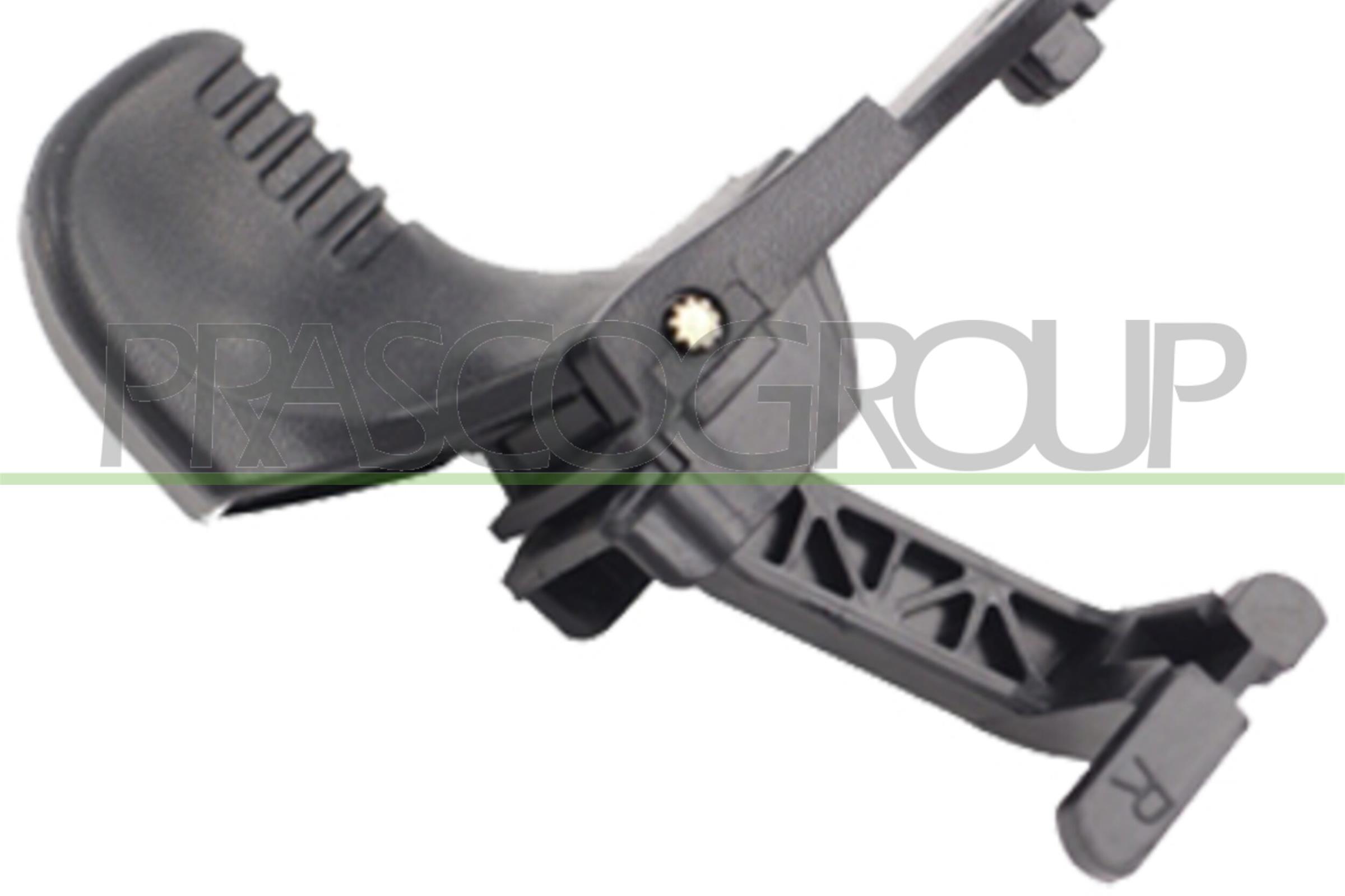 PRASCO RN3048001 Maniglia...