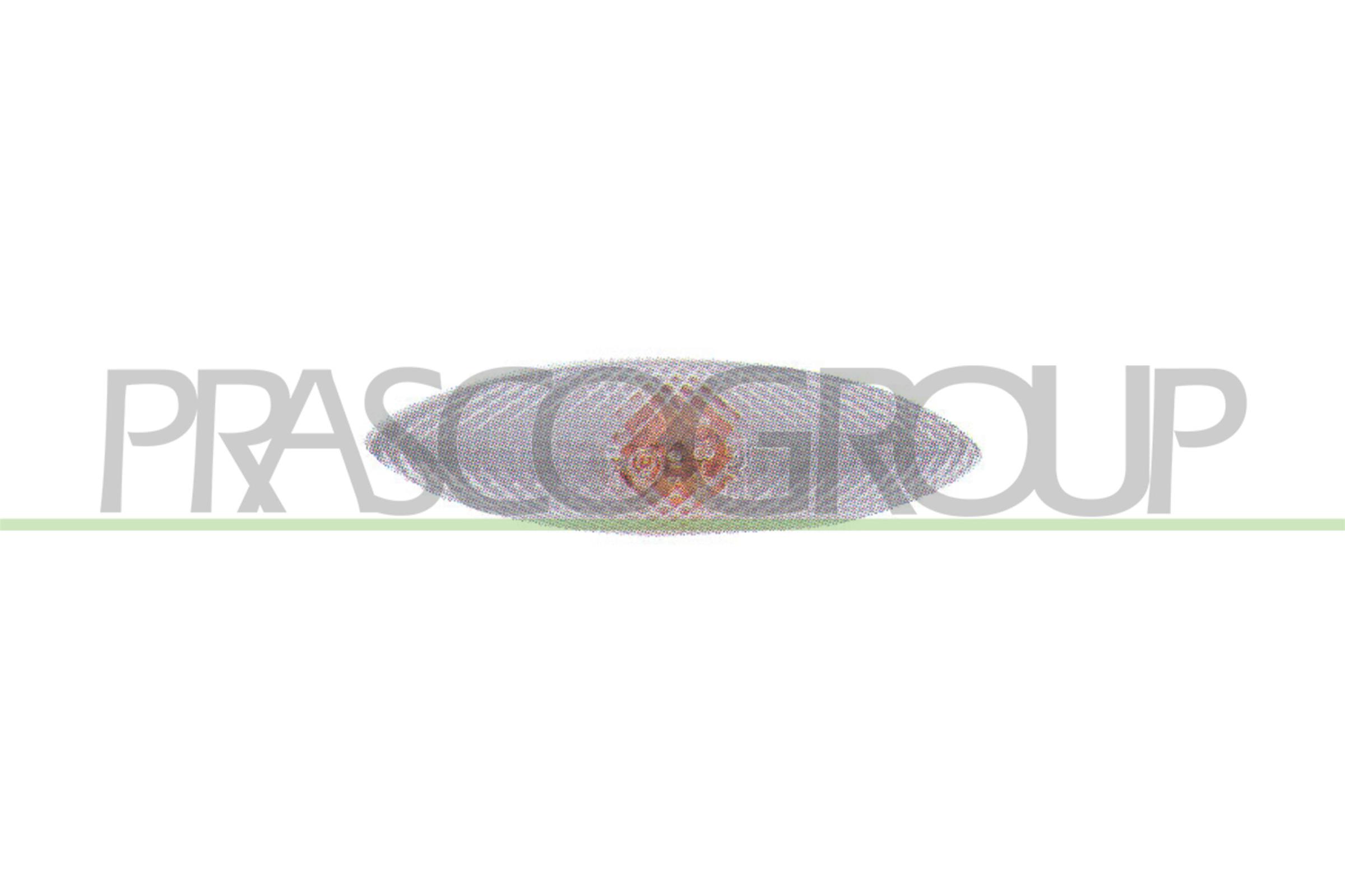PRASCO TY3204042 Indicatore...