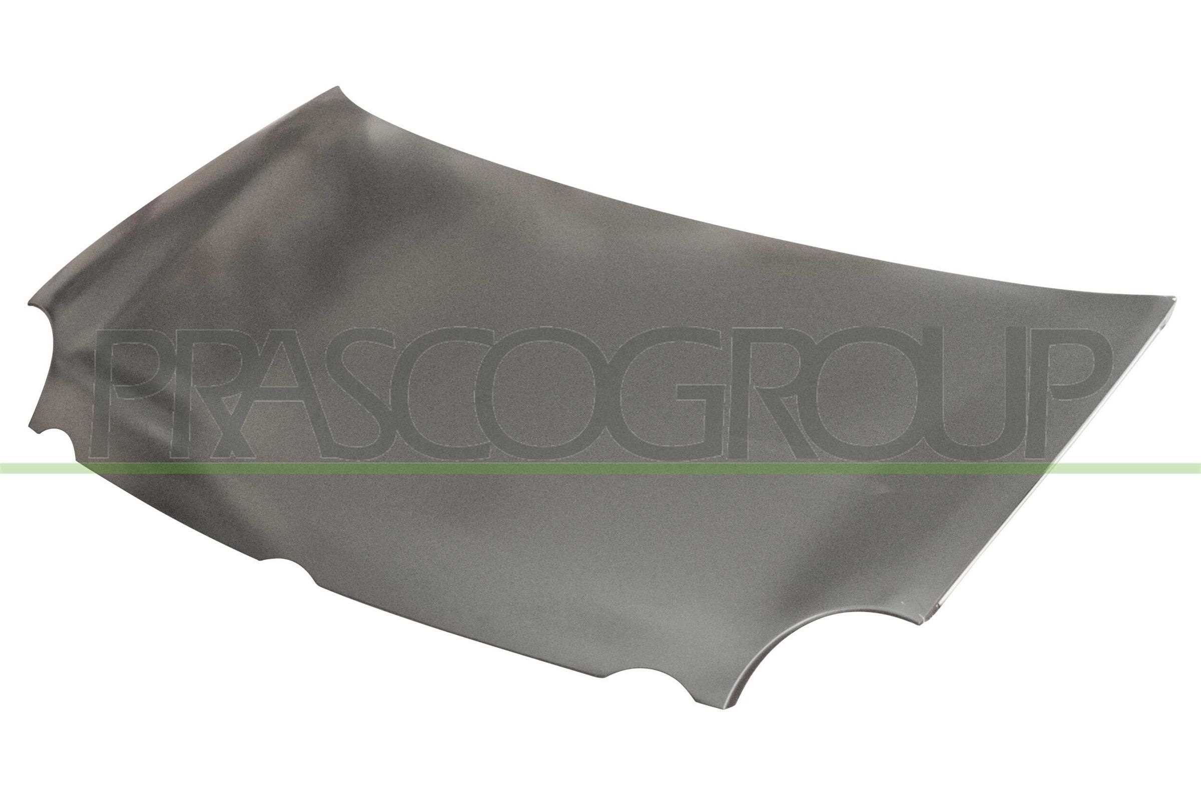 PRASCO VG0213100 Cofano motore