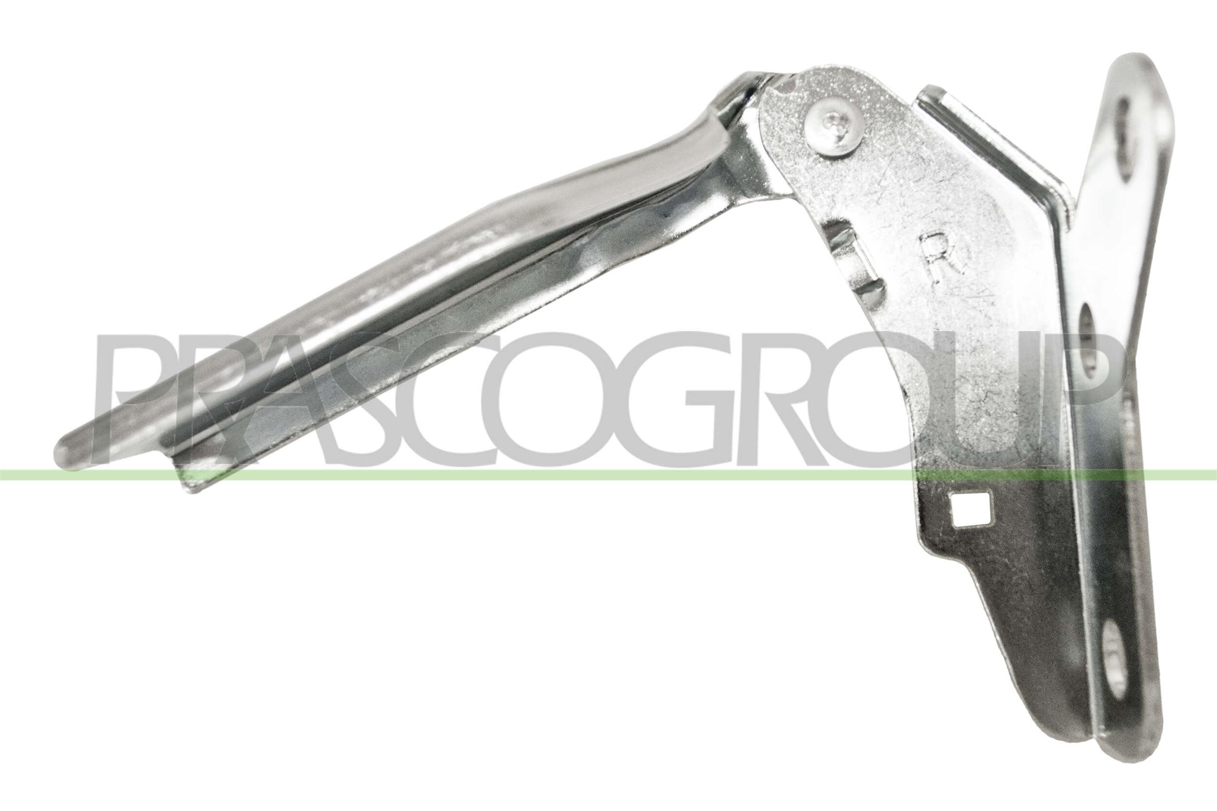 PRASCO VG0223703 Cerniera,...