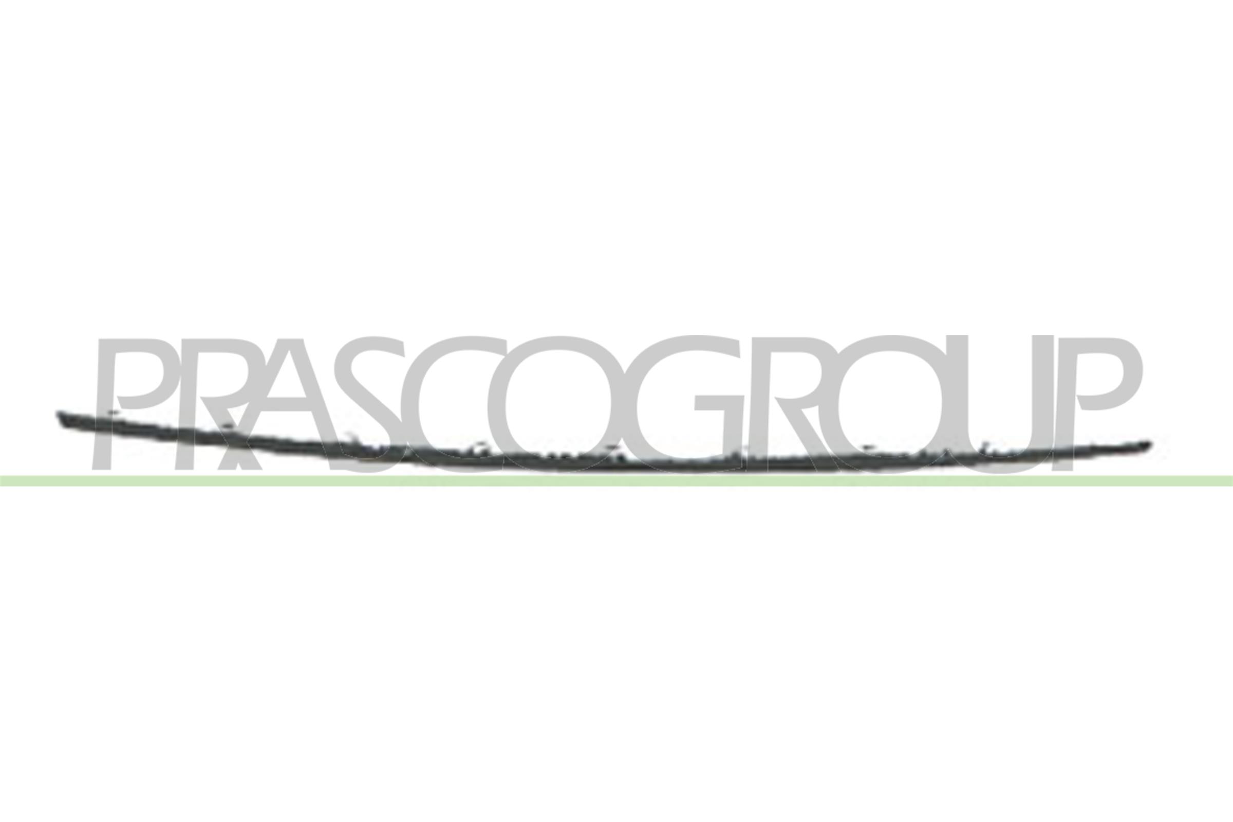 PRASCO VG0753222 Mostrina,...