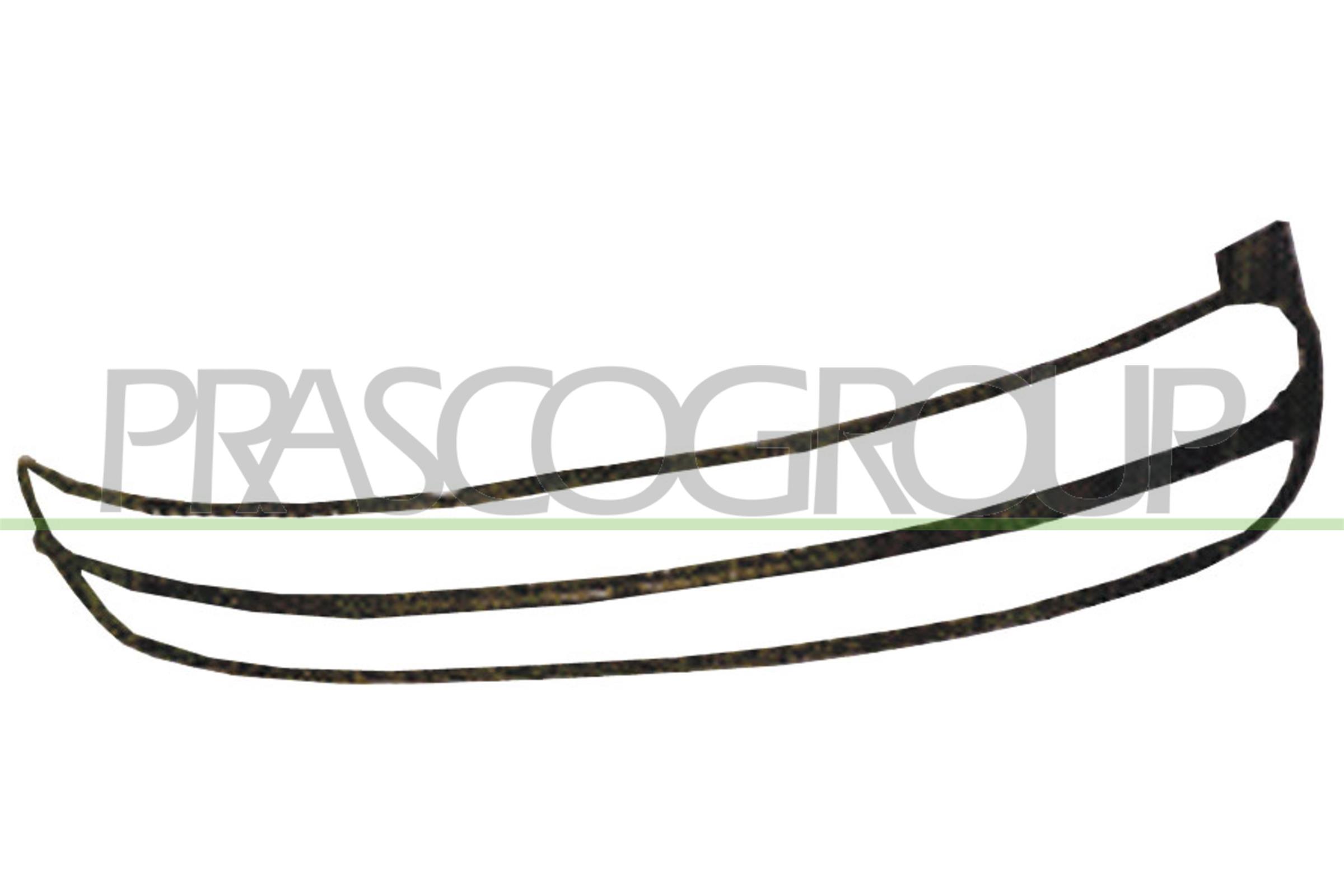 PRASCO VG4202305 Telaio,...