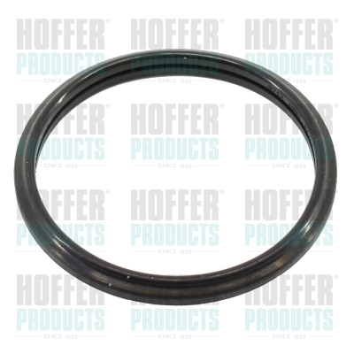 HOFFER 016103 Guarnizione,...