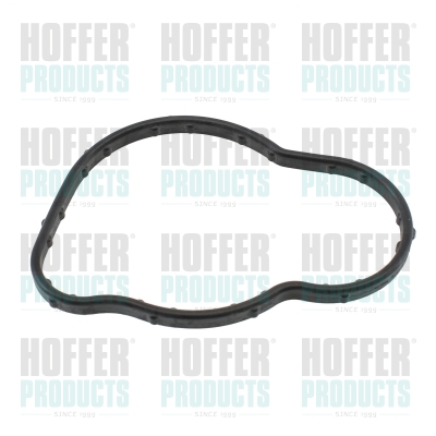 HOFFER 016114 Guarnizione,...