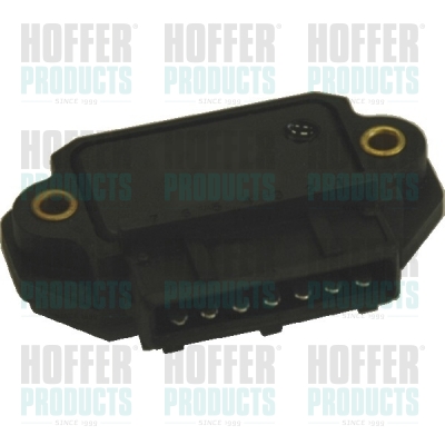 HOFFER 10062 Centralina...