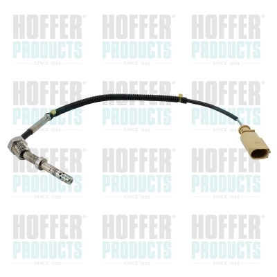 HOFFER 7452581 Sensore,...