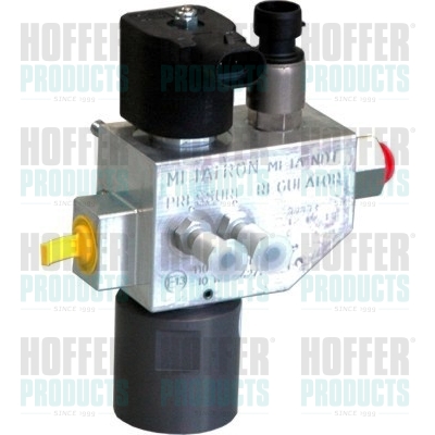 HOFFER H13102 Ventil,...