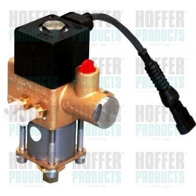 HOFFER H13105 Ventil,...