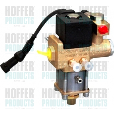 HOFFER H13107 Ventil,...