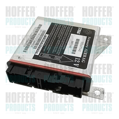 HOFFER H208027 Centralina,...
