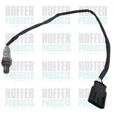 HOFFER 7481716E Αισθητήρας...