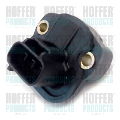 HOFFER 7513135 Senzor,...