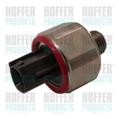 HOFFER 75175008 Αισθητήρας...