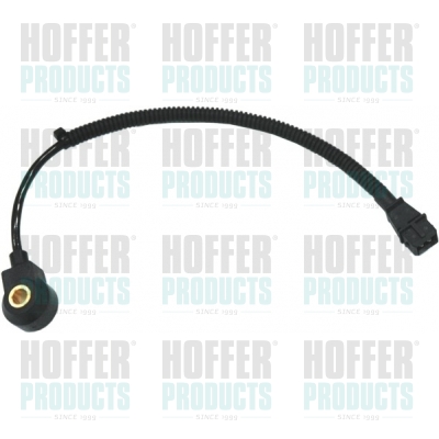HOFFER 7517554 Αισθητήρας...
