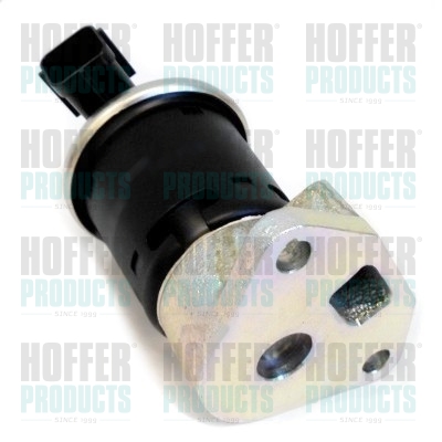 HOFFER 7518264R AGR-Ventil