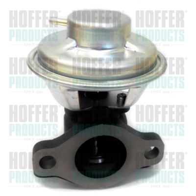 HOFFER 7518287 AGR-Ventil