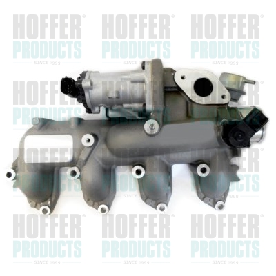 HOFFER 7518289 AGR-Ventil