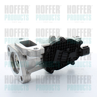 HOFFER 7518297 AGR-Ventil