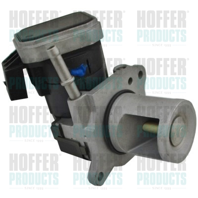 HOFFER 7518765R Βαλβίδα AGR
