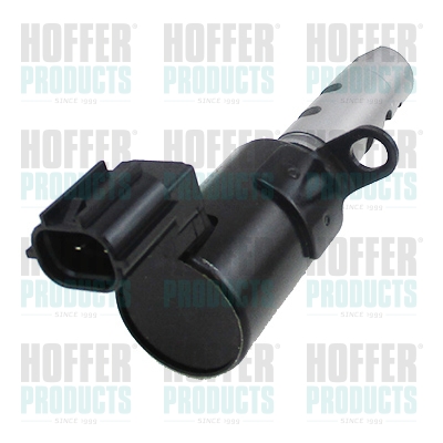 HOFFER 8091587 Gruppo...