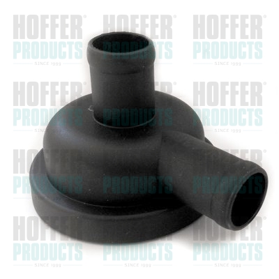 HOFFER 8091637 Βαλβίδα,...