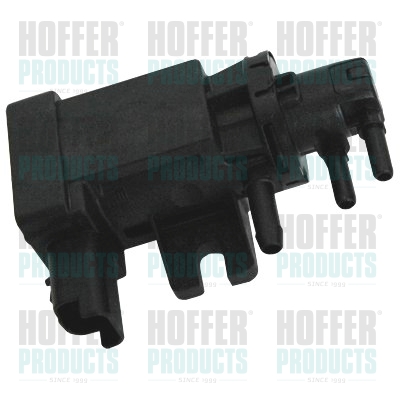 HOFFER 8029262 Convertitore...