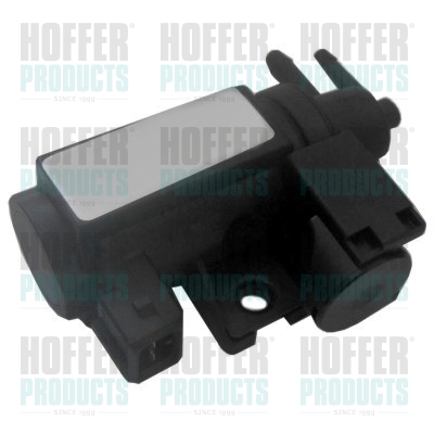 HOFFER 8029731 Μετατροπέας...