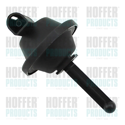 HOFFER 7029757 Βαλβίδα,...