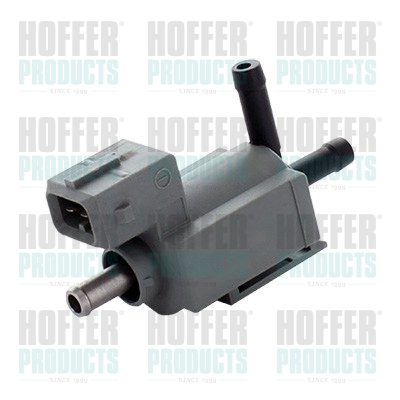 HOFFER 8029770 Ventil,...