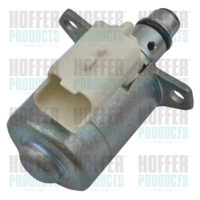 HOFFER 8029777 Valvola...