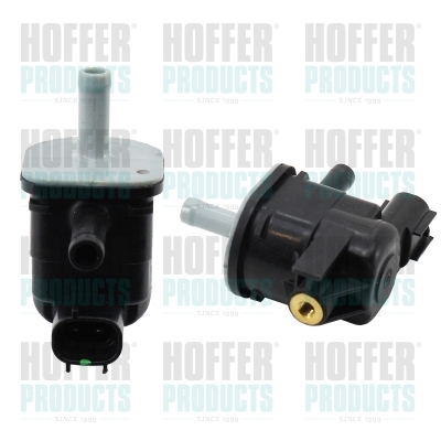 HOFFER 80299023 Βαλβίδα...