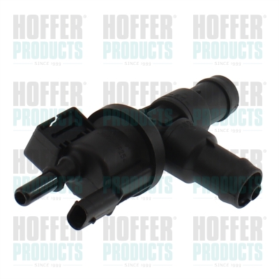 HOFFER 80299056 Βαλβίδα...