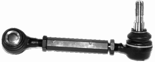 LEMFÖRDER 10061 02 Lenker, Radaufhängung