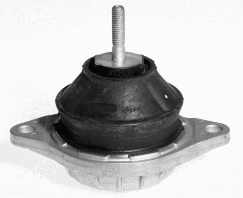 LEMFÖRDER 10066 01 Lagerung, Motor