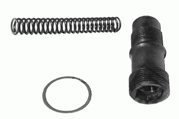 LEMFÖRDER 10796 01 Spanner, Steuerkette