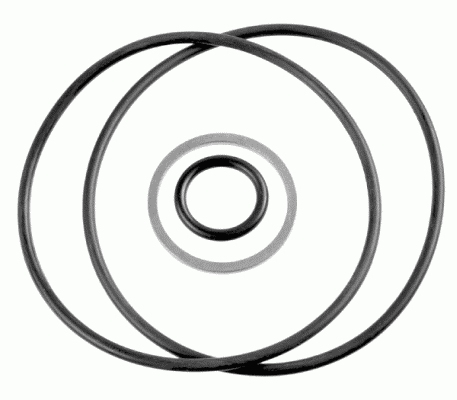 LEMFÖRDER 13607 01 Dichtungssatz, Hydraulikpumpe