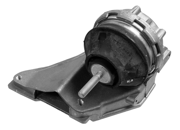 LEMFÖRDER 13660 01 Lagerung, Motor