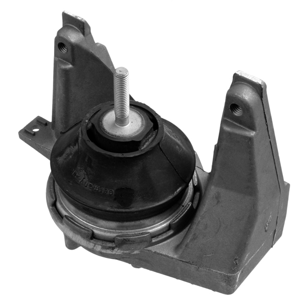 LEMFÖRDER 13661 01 Lagerung, Motor